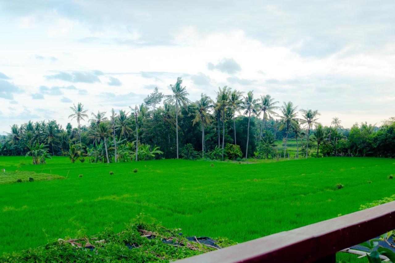 Nauna Villa Ubud Extérieur photo